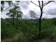 Bunya Mountains QLD 4405