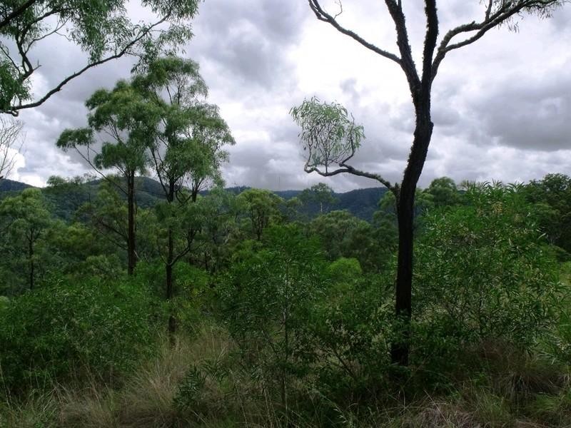 Bunya Mountains QLD 4405