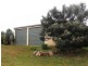 Nanango QLD 4615