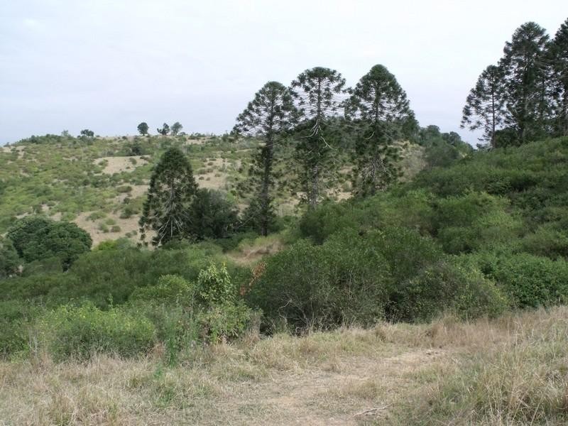 134 Mercer Springate Road, Nanango QLD 4615