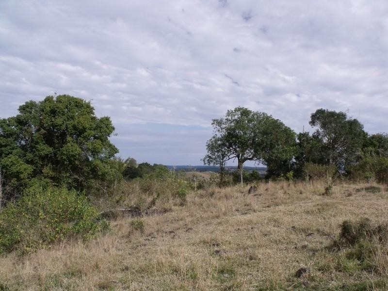134 Mercer Springate Road, Nanango QLD 4615