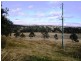 Nanango QLD 4615