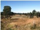 Nanango QLD 4615