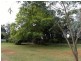 Blackbutt QLD 4306