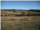Blackbutt QLD 4306