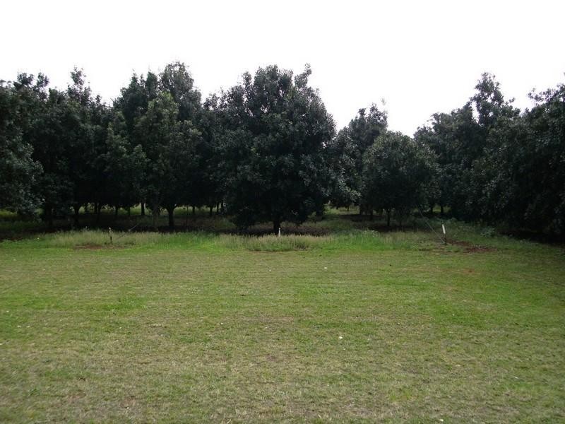 Blackbutt QLD 4306