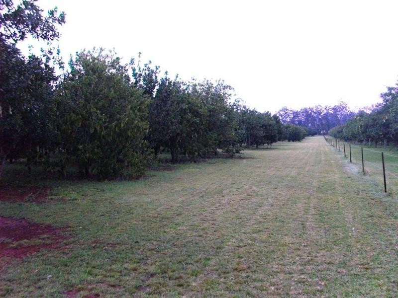Blackbutt QLD 4306