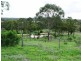 Nanango QLD 4615