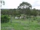 Nanango QLD 4615