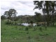Nanango QLD 4615