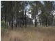 51 Diggins Road, Nanango QLD 4615