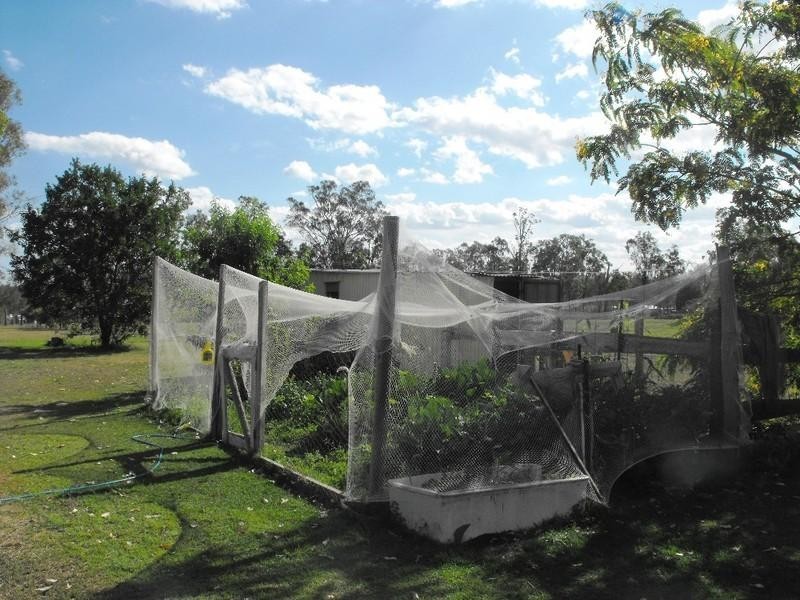 Nanango QLD 4615