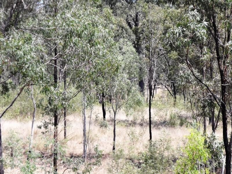 Nanango QLD 4615