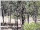 Nanango QLD 4615
