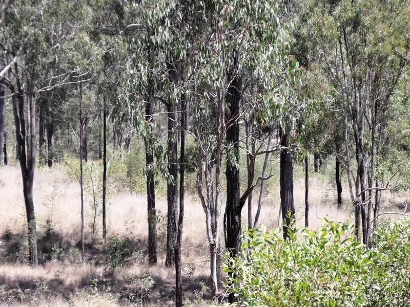 Nanango QLD 4615