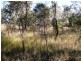 Nanango QLD 4615