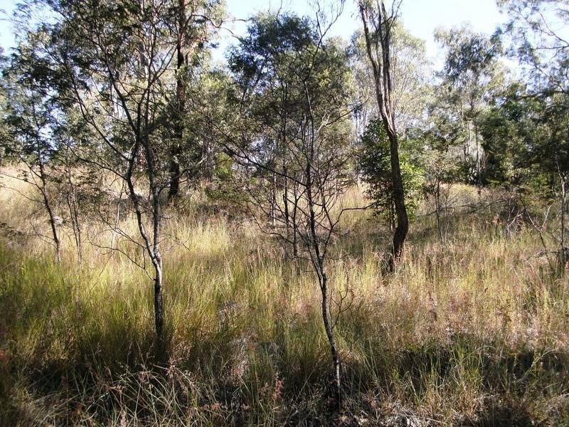 Nanango QLD 4615
