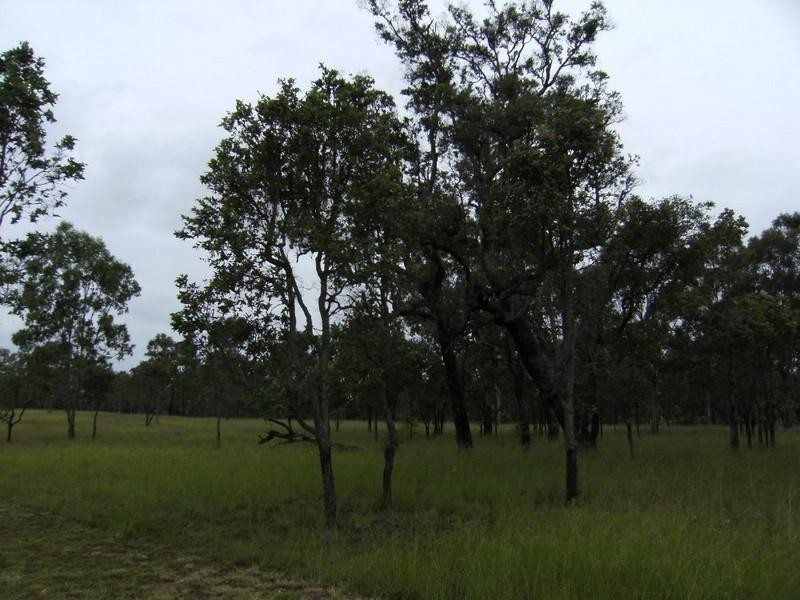 Wattle Camp QLD 4615