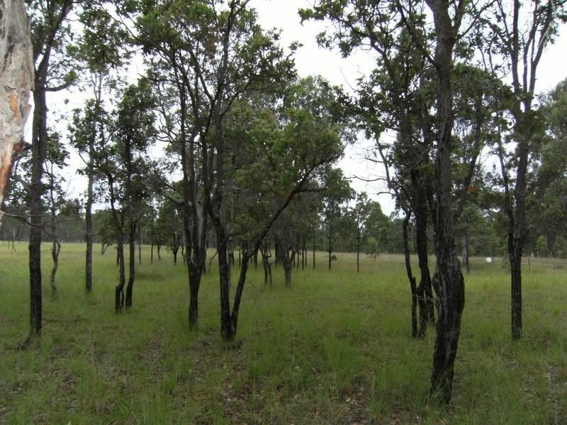 Wattle Camp QLD 4615