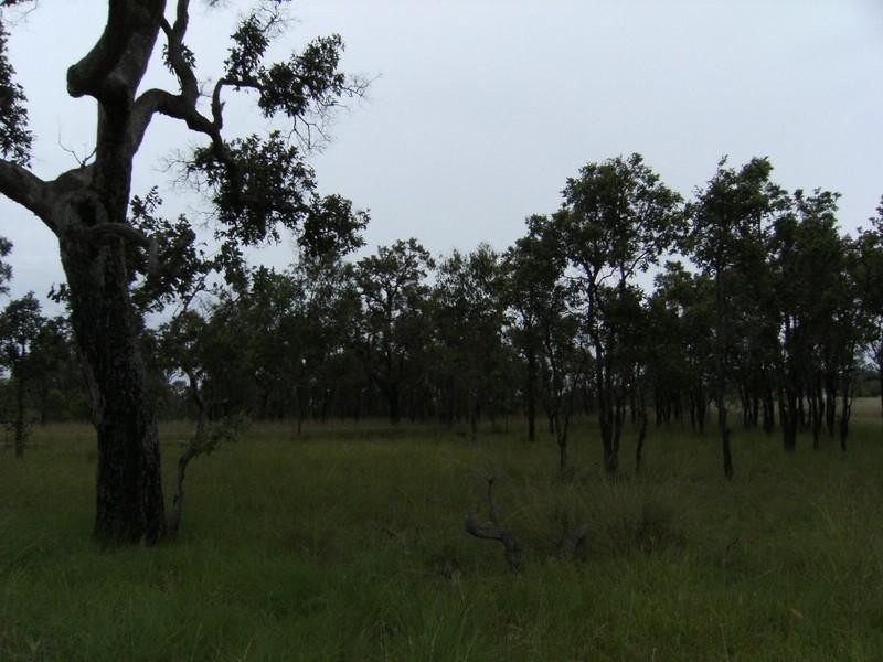 Wattle Camp QLD 4615