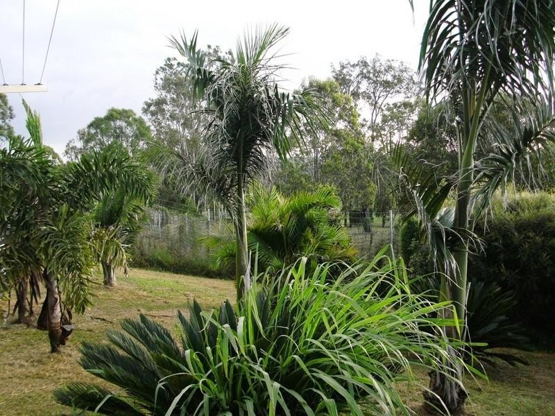 Nanango QLD 4615