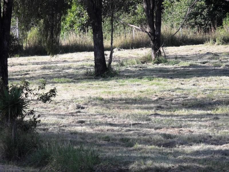 Nanango QLD 4615