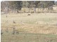 South Nanango QLD 4615
