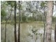 184 Carbeen Crescent, Nanango QLD 4615