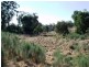 Nanango QLD 4615