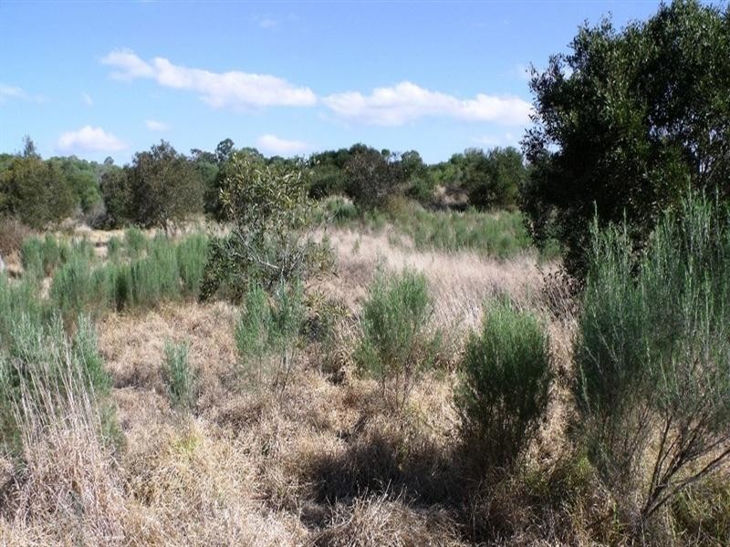 Nanango QLD 4615