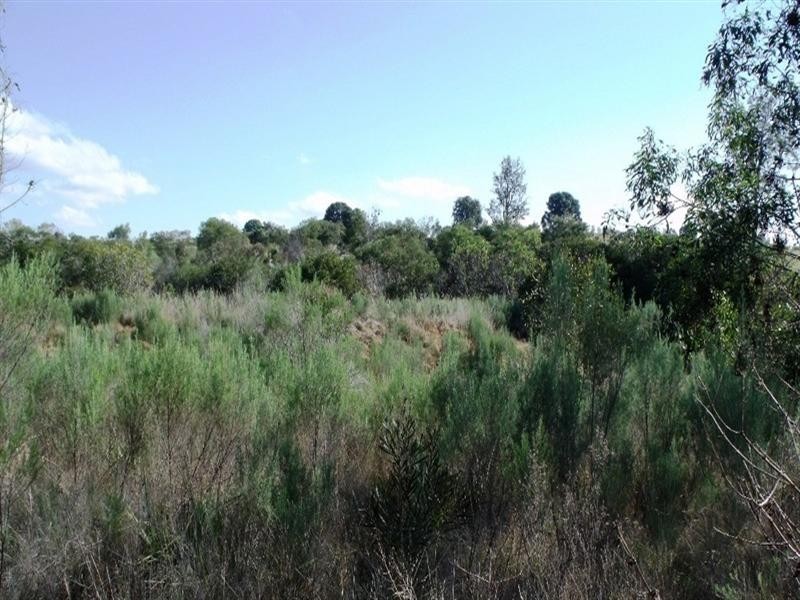 Nanango QLD 4615