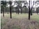 Wattle Camp QLD 4615