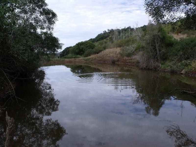 134 Mercer Springate Road, Nanango QLD 4615