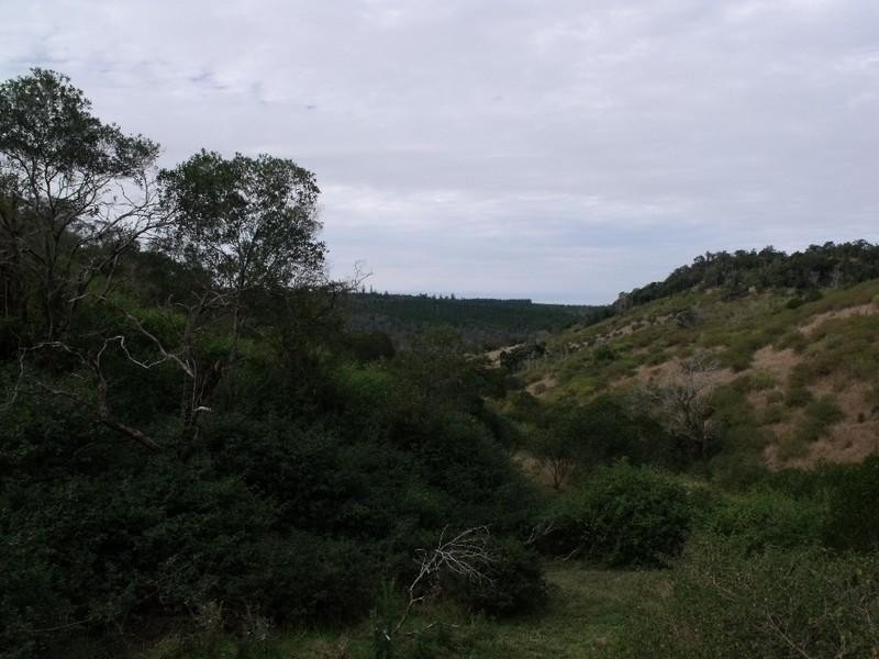 134 Mercer Springate Road, Nanango QLD 4615