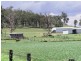 Nanango QLD 4615