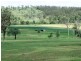 Nanango QLD 4615