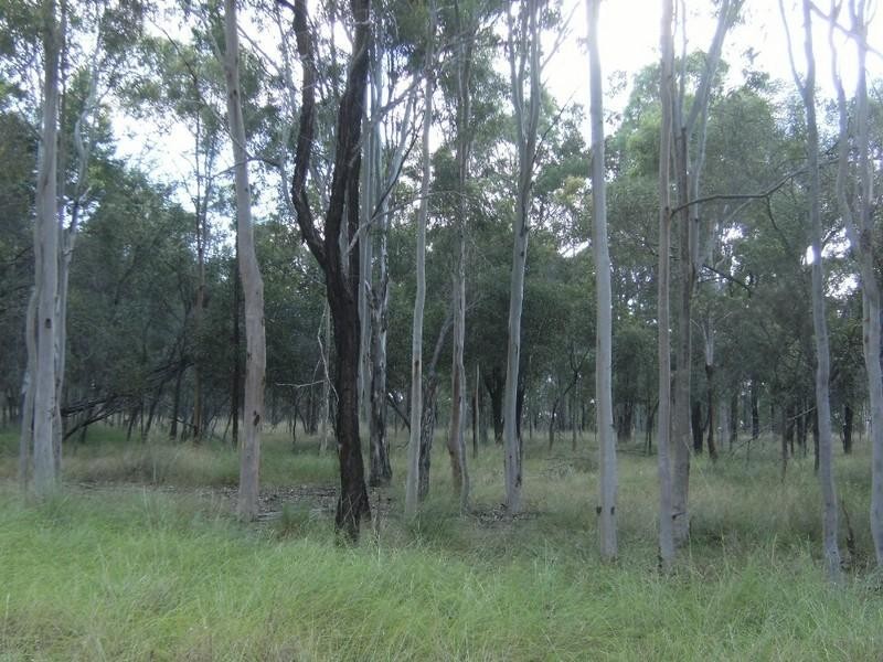 Wattle Camp QLD 4615