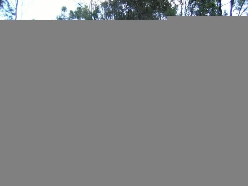 Wattle Camp QLD 4615