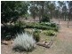 Nanango QLD 4615