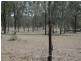 Nanango QLD 4615