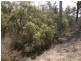 535 Palms Road, Cooyar QLD 4402