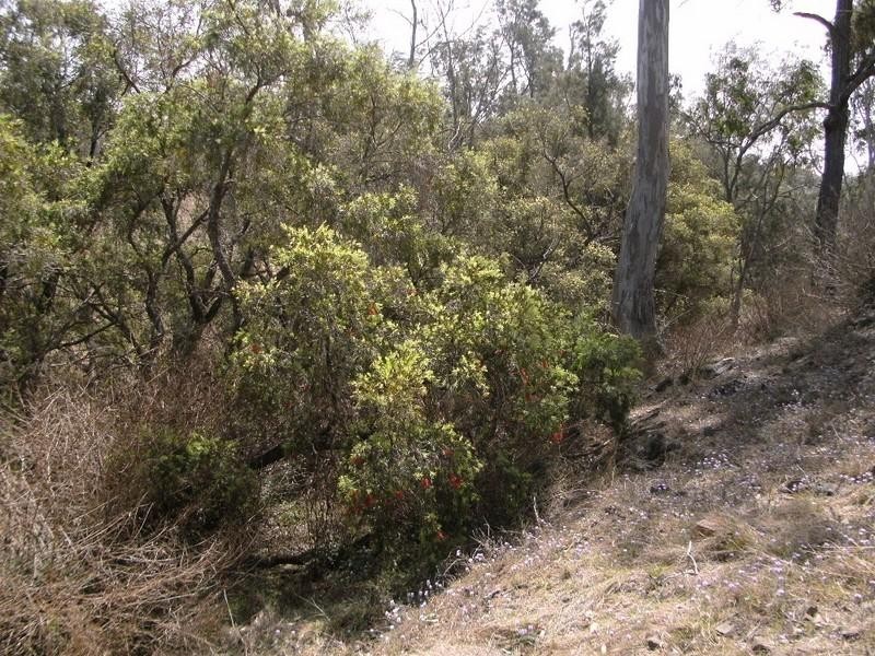 535 Palms Road, Cooyar QLD 4402