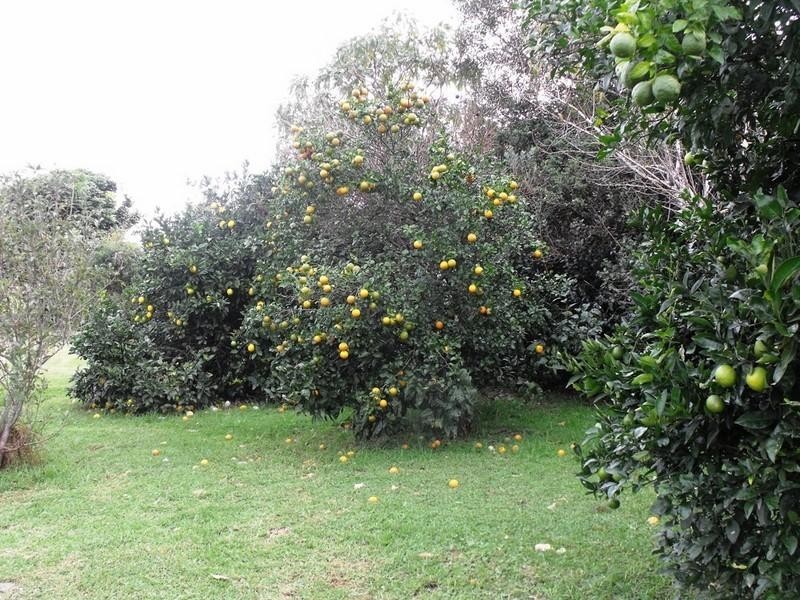 7 Dioth Road, Upper Yarraman QLD 4614