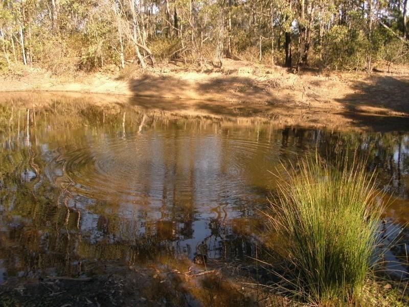 Blackbutt QLD 4306