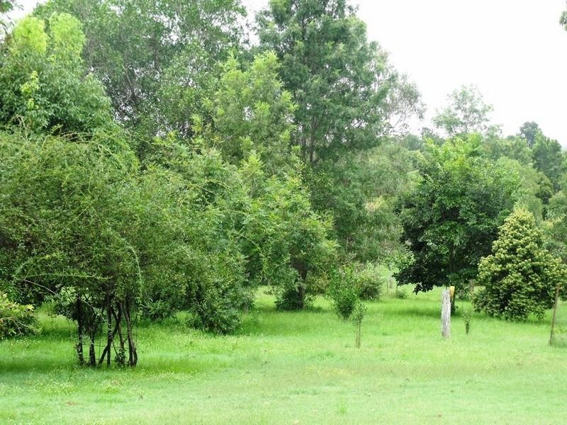 Nanango QLD 4615