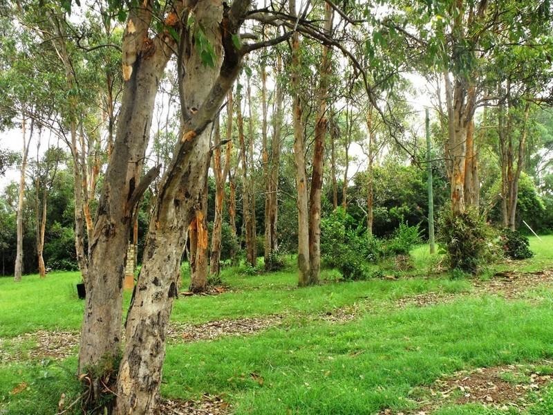 Nanango QLD 4615