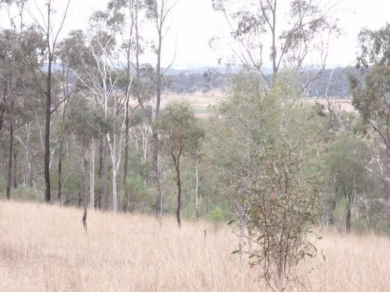 Lot 79/ Oaky Creek Back Road, Brooklands QLD 4615
