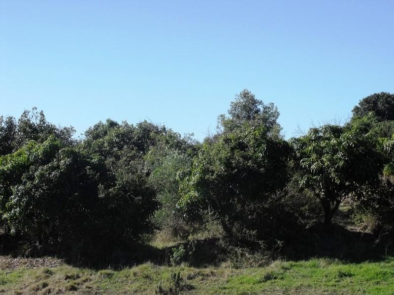 South Nanango QLD 4615