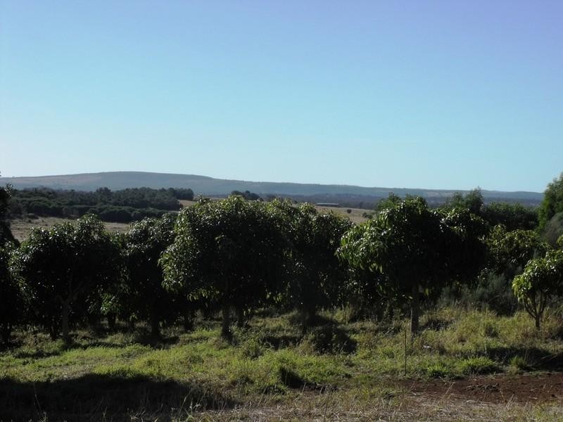 South Nanango QLD 4615
