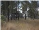51 Diggins Road, Nanango QLD 4615